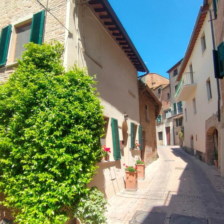 Ciliano 16 - Two-Bedroom Apartment - 9