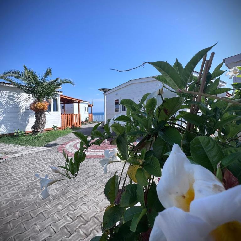 Camping Jonio - Studio with Sea View - 15