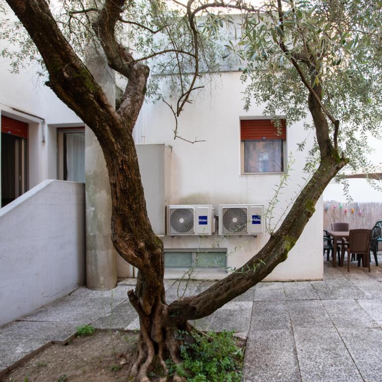 Villa Andrea - Appartamento Superior - 45