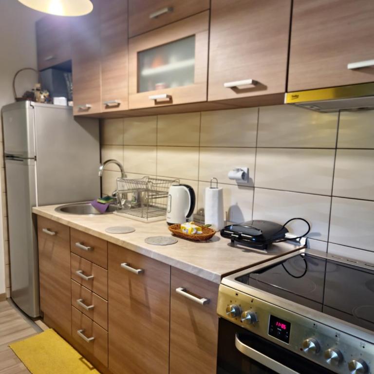 Apartman Šareni kutak Pale - Apartment mit 1 Schlafzimmer - 13
