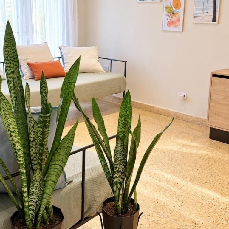 Playa Grande la mejor zona de MDP, dept 3 amb, con Terraza y Parrilla - Two-Room Apartment - 6