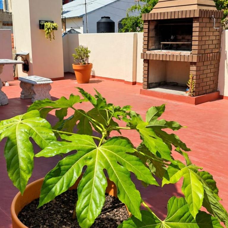 Playa Grande la mejor zona de MDP, dept 3 amb, con Terraza y Parrilla - Two-Room Apartment - 1