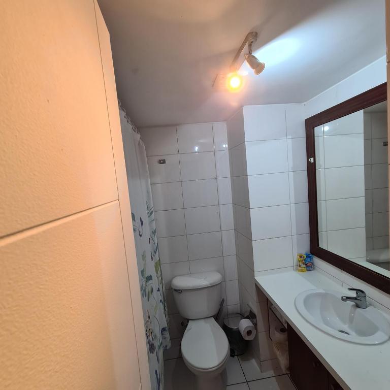 San Alonso Apartments - One-Bedroom Apartment - 9