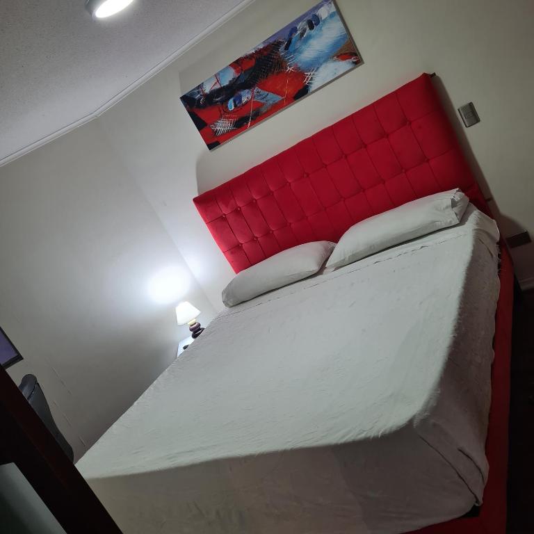 San Alonso Apartments - One-Bedroom Apartment - 20
