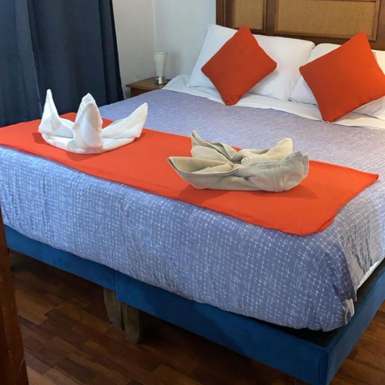 San Alonso Apartments - One-Bedroom Apartment - 1
