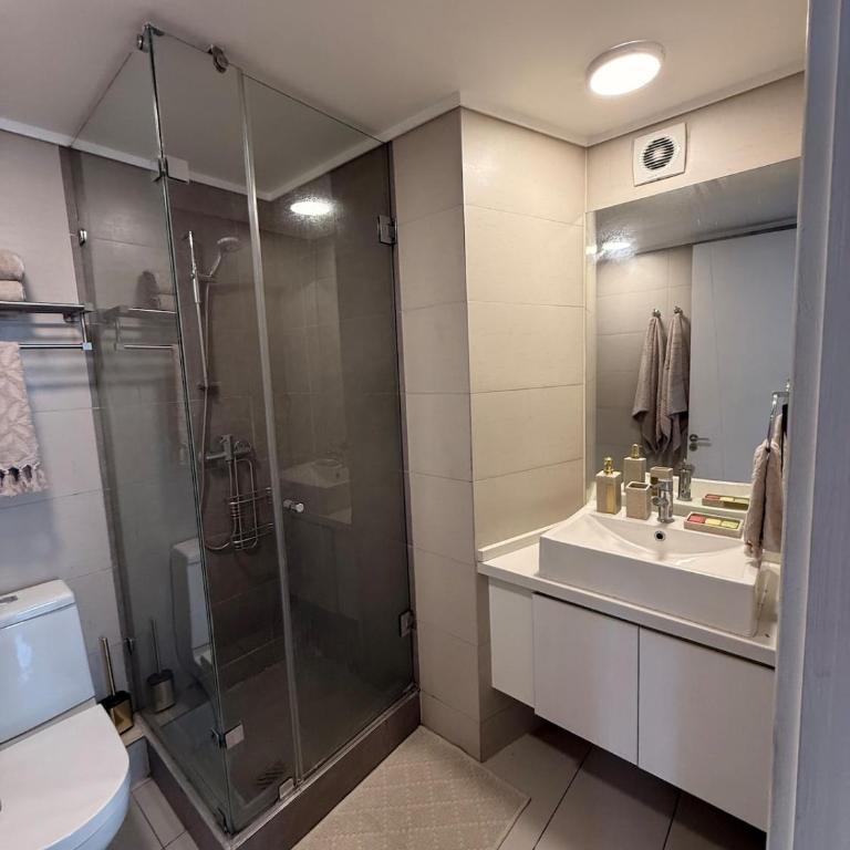 Departamento frente a Sheraton y Clinica INDISA - Apartamento de 1 dormitorio - 3