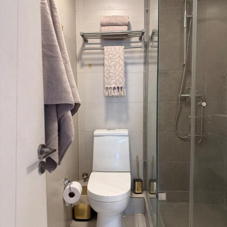 Departamento frente a Sheraton y Clinica INDISA - Apartamento de 1 dormitorio - 9