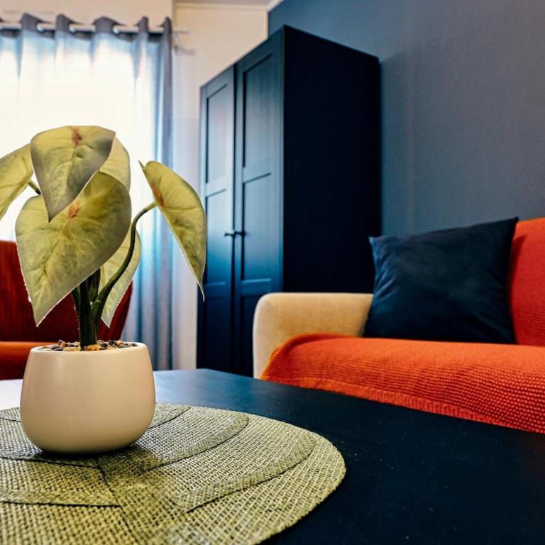 Horloge des Maréchaux - Appartement 1 Chambre - 3