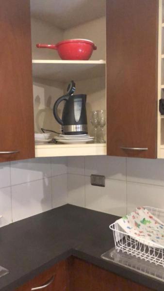 San Alonso Apartments - One-Bedroom Apartment - 50