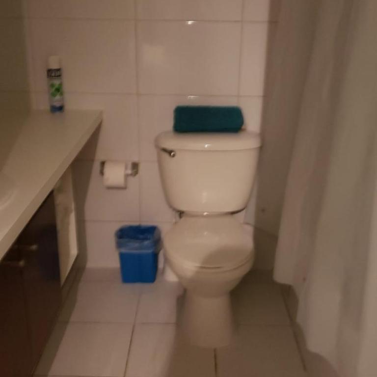 San Alonso Apartments - One-Bedroom Apartment - 59