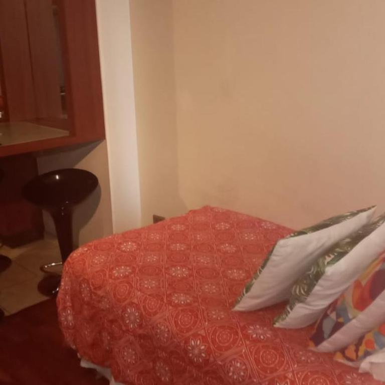 San Alonso Apartments - One-Bedroom Apartment - 51