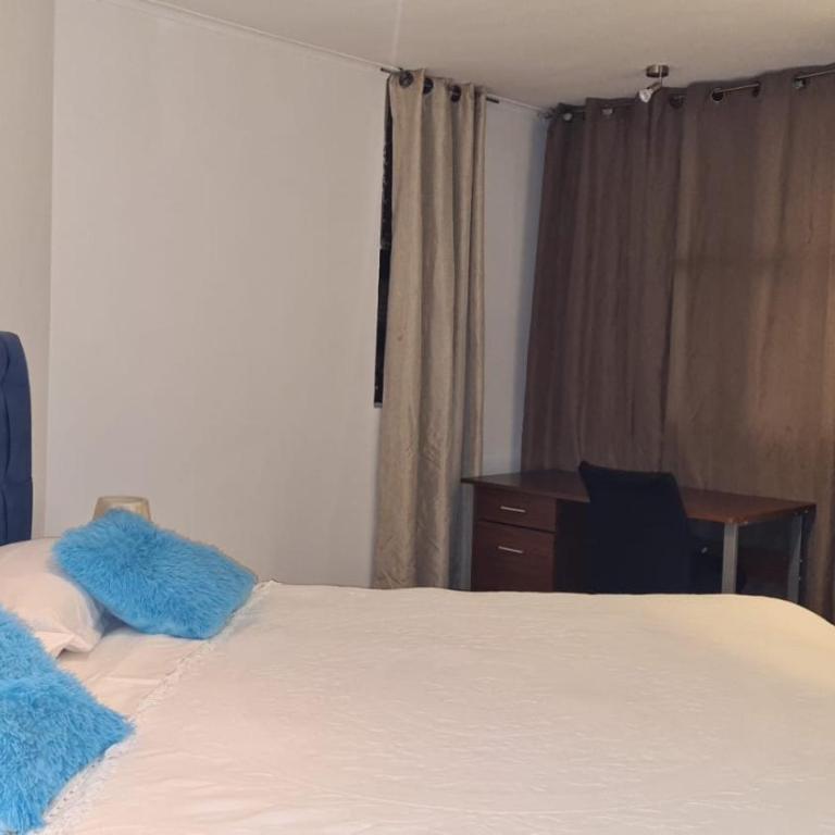 San Alonso Apartments - One-Bedroom Apartment - 17