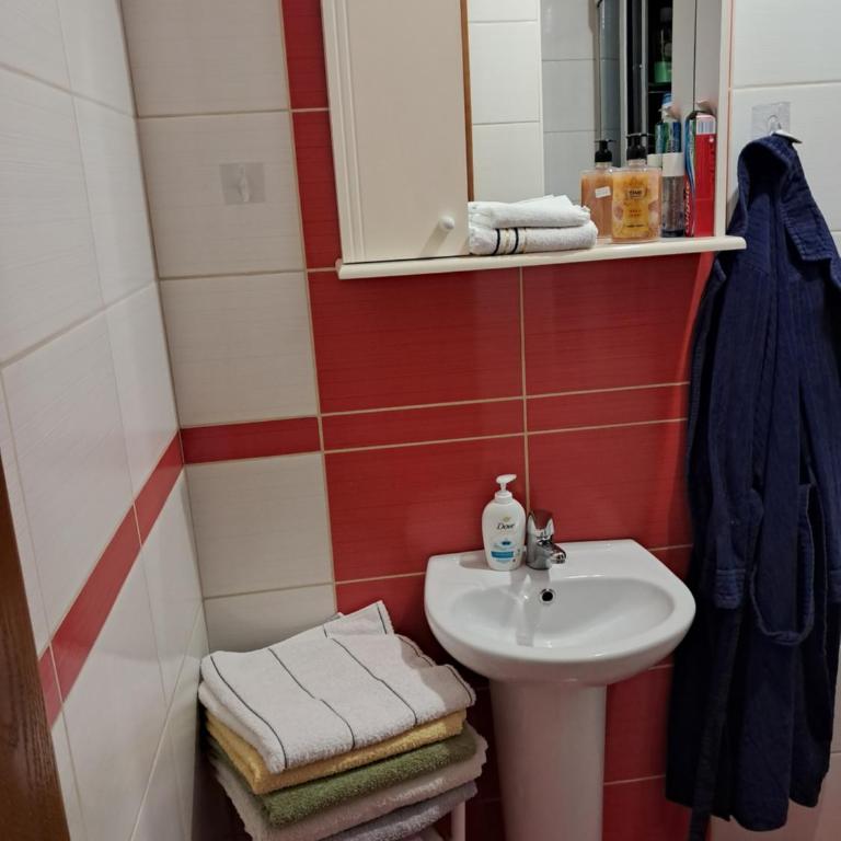 Apartman Nika - Apartman sa 1 Spavaćom Sobom - 15