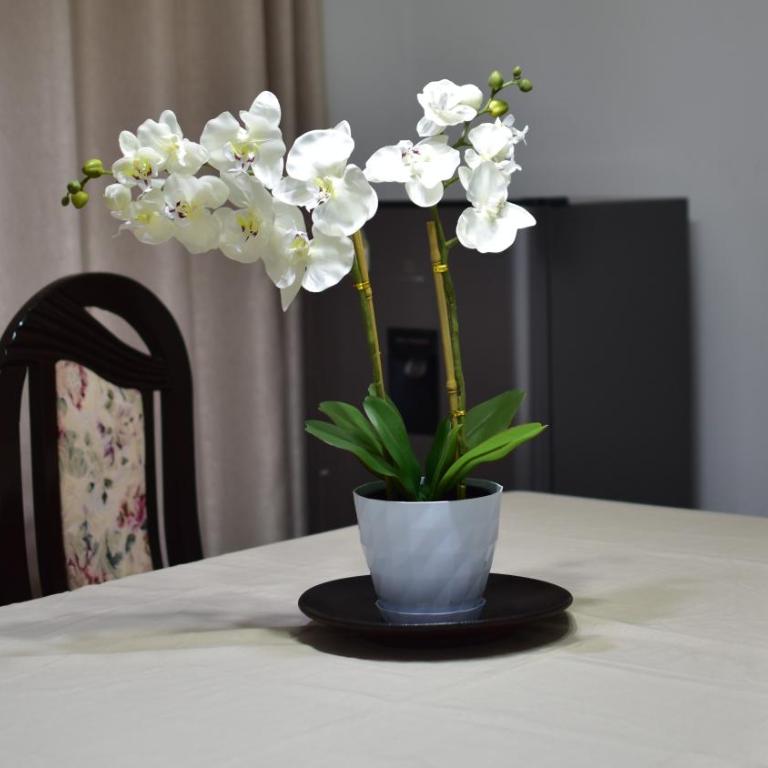 Departamento moderno de 140 m2, Espacioso, Remodelado y Cerca del Centro - Apartment - 20