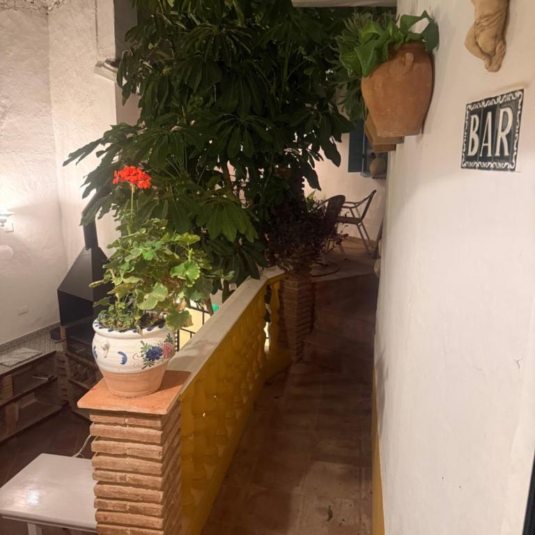 Mesón La Hospedería - Apartamento Deluxe de 1 dormitorio - 36