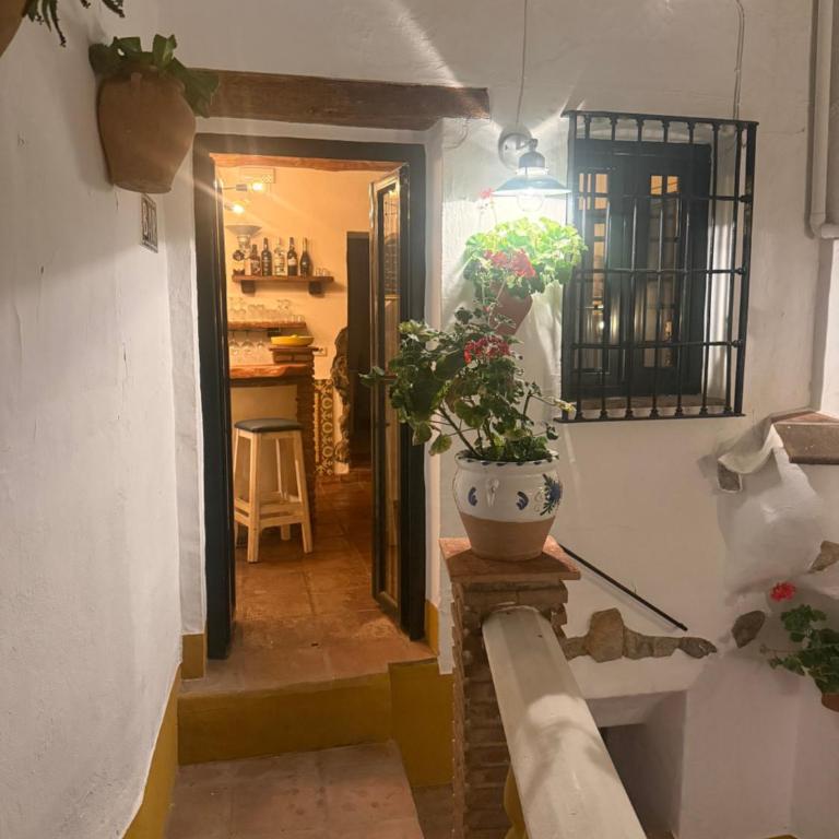 Mesón La Hospedería - Apartamento Deluxe de 1 dormitorio - 34