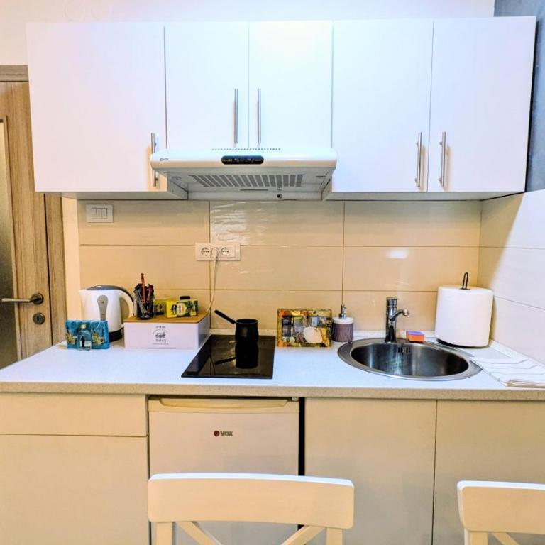 Blue Lagoon-City Center Apartments & Private Parking-apartmani-nsmilos - One-Bedroom Apartment - 13