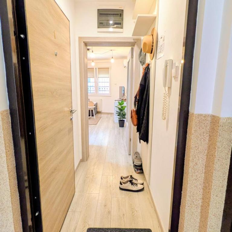 Blue Lagoon-City Center Apartments & Private Parking-apartmani-nsmilos - One-Bedroom Apartment - 19