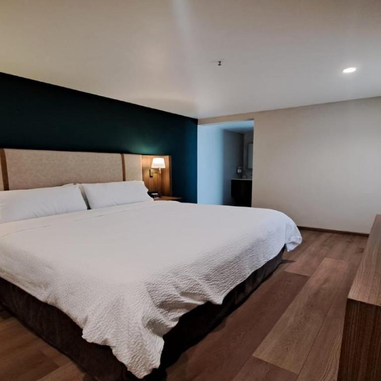 Holiday Inn & Suites Mexico Zona Reforma by IHG - Suite con cama grande y balcón - 5