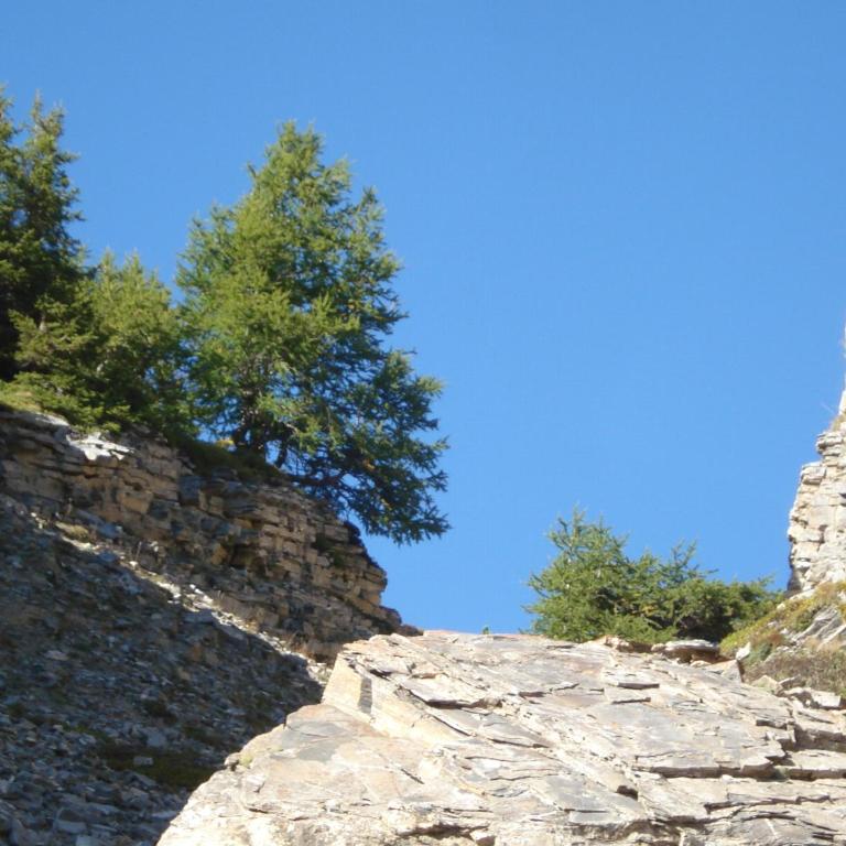 Verträumt schön zu jeder Jahreszeit Bergpanoramasicht - Apartment mit Blick auf die Berge - 53