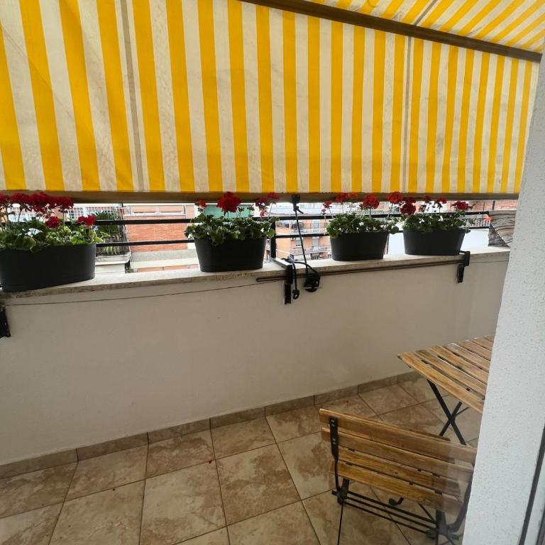 La Veranda a Monteverde - Appartamento con 2 Camere da Letto - 31