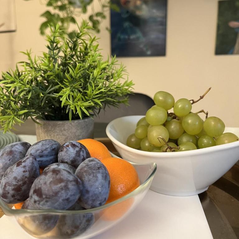 Trastevere Garden, Private Oasis - Appartamento con 1 Camera da Letto - 7