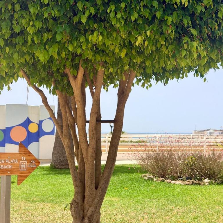 Oceanfront terrace - First line - La Carihuela - Apartamento de 1 dormitorio con balcón y vistas al mar - 34