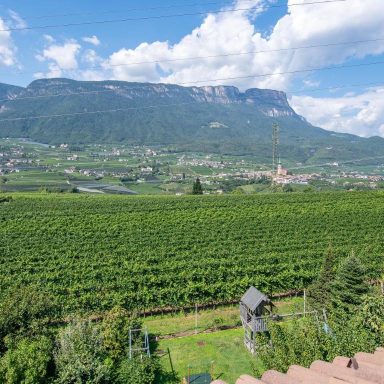 Ferienwohnungen Tollhof - Near Bolzano and castles, with a guest card for families and couples, offering panoramic views - Apartamento Estudio con balcón - 20