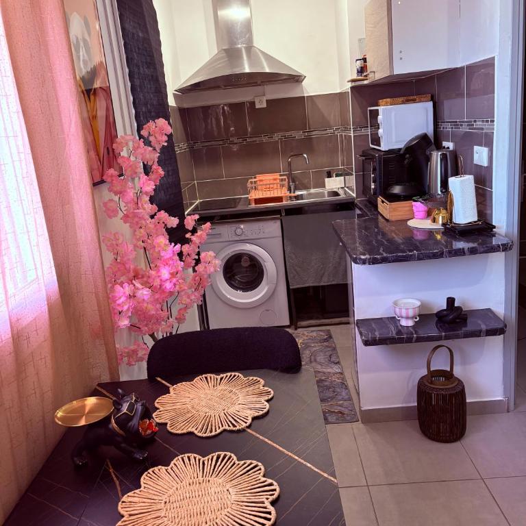 La parenthèse rose - Apartamento de 1 dormitorio - 3