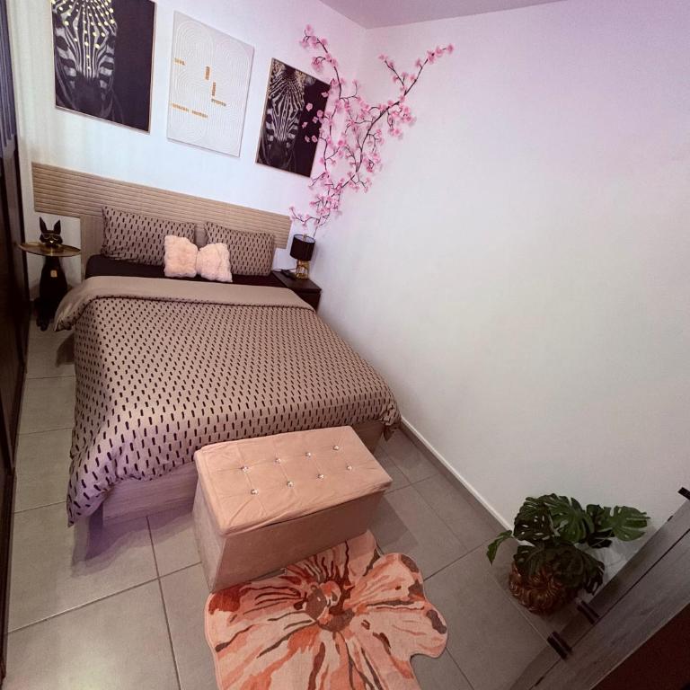 La parenthèse rose - Apartamento de 1 dormitorio - 7