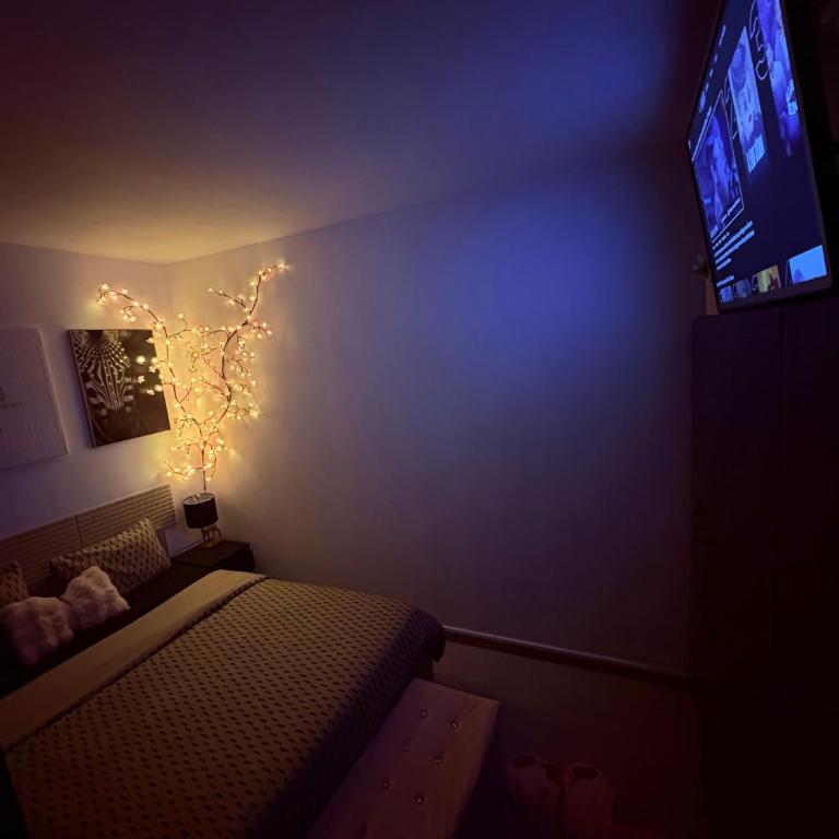 La parenthèse rose - Apartamento de 1 dormitorio - 9