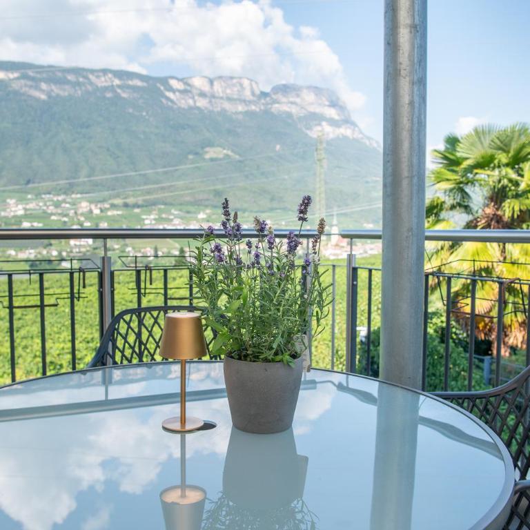 Ferienwohnungen Tollhof - Near Bolzano and castles, with a guest card for families and couples, offering panoramic views - Apartamento de 2 dormitorios con balcón - 18