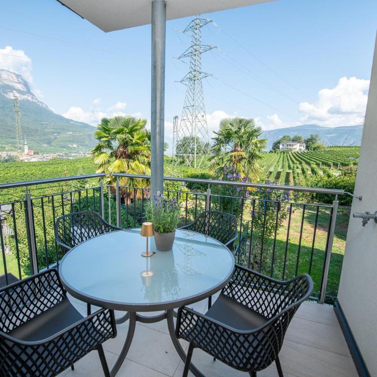 Ferienwohnungen Tollhof - Near Bolzano and castles, with a guest card for families and couples, offering panoramic views - Apartamento de 2 dormitorios con balcón - 22