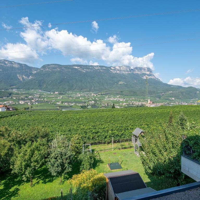 Ferienwohnungen Tollhof - Near Bolzano and castles, with a guest card for families and couples, offering panoramic views - Apartamento de 2 dormitorios con balcón - 24