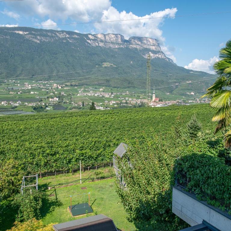 Ferienwohnungen Tollhof - Near Bolzano and castles, with a guest card for families and couples, offering panoramic views - Apartamento de 2 dormitorios con balcón - 27