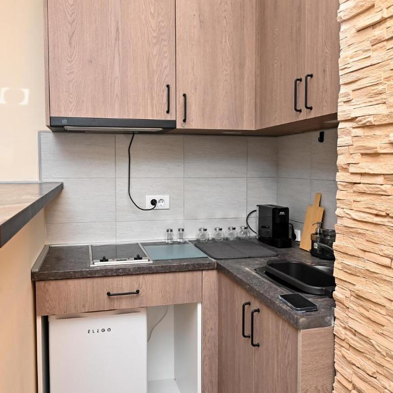 Urban Nest Belgrade - Apartman sa 1 Spavaćom Sobom - 16