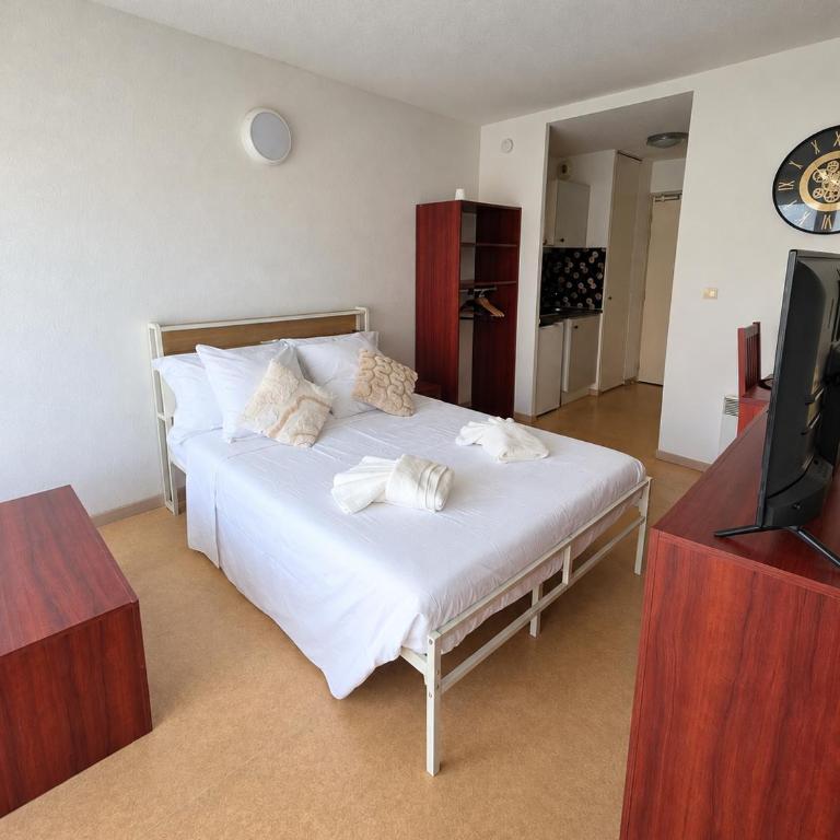 Studio Le calypso avec piscine proche du port - Appartement 1 Chambre - 2