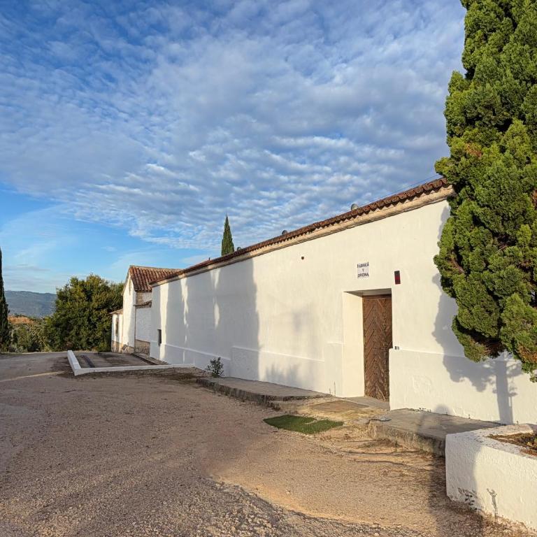 La Almedina: Palacio de Foronda - Apartamento de 1 dormitorio - 4