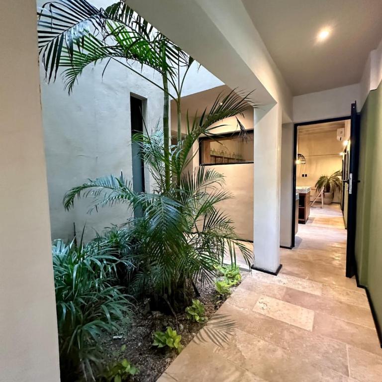 Casa Reforma 507 - Casa de 3 dormitorios - 26