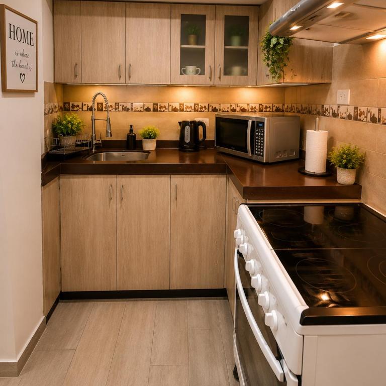 Mini Departamento Acogedor - Apartamento de 1 dormitorio - 1