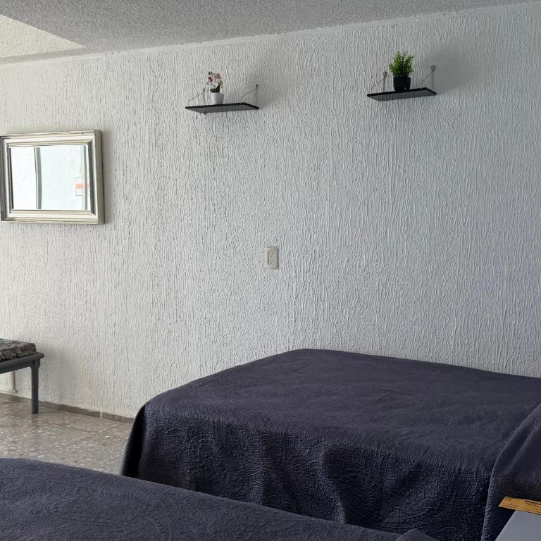 Acapulco Suite LyS Torres Gemelas - Suite Familiar - 5