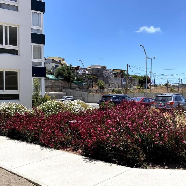 Departamento Nuevo y Acogedor en La Serena - Two-Bedroom Apartment - 21