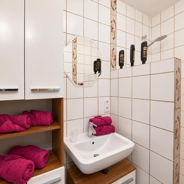 Apartment Martha in the Ötztal valley with mountain views - Apartment mit 1 Schlafzimmer - 25