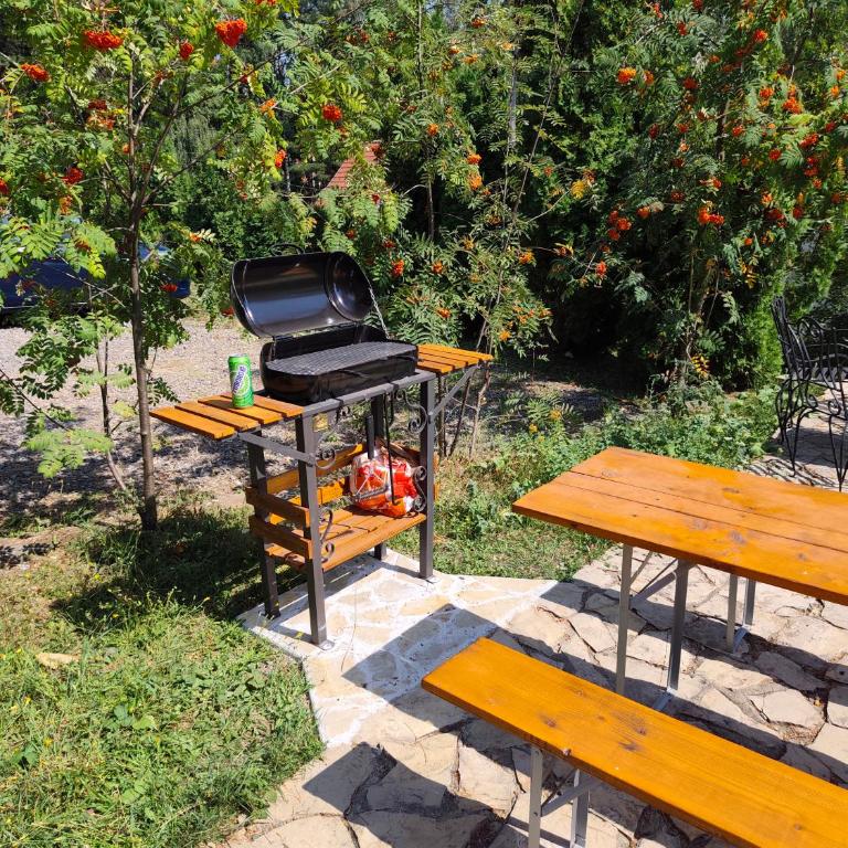 Apartman Lala Divčibare - Dupleks Apartman - 21