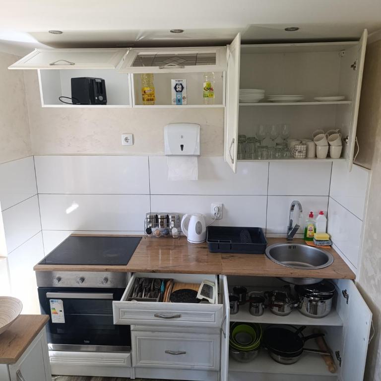 Apartman Lala Divčibare - Dupleks Apartman - 9