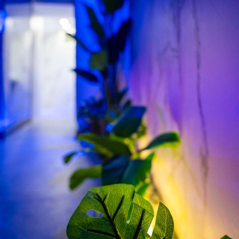 ELEMENT Suite&Spa - Suite King con Vasca Idromassaggio - 51
