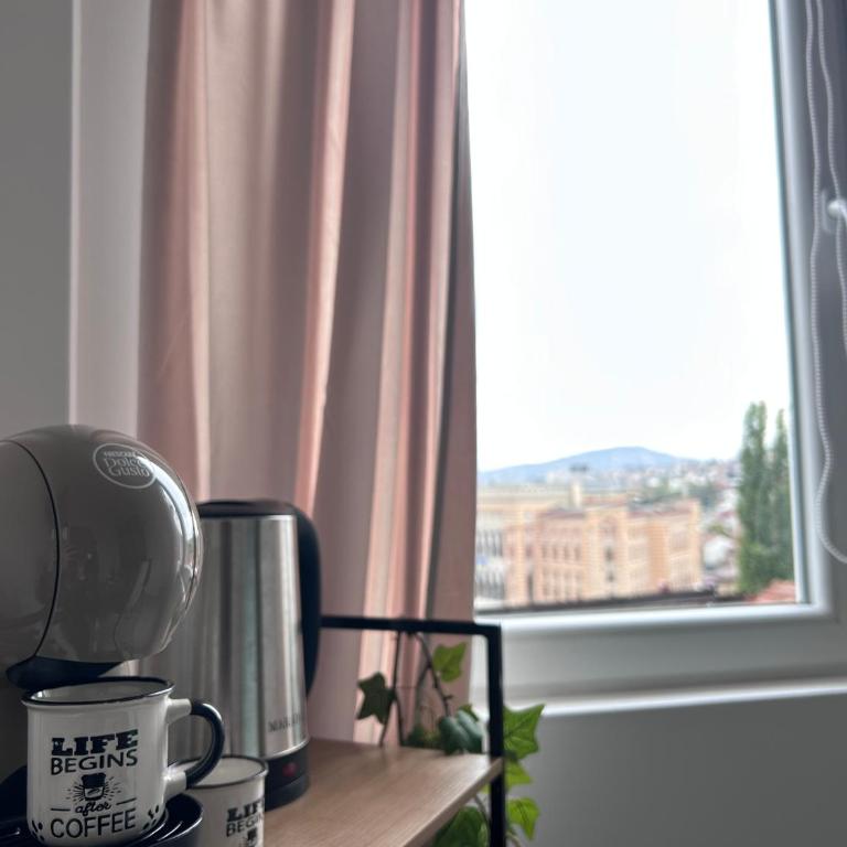 Sarajevo Panorama Studio & Private Garage - Apartman sa 1 Spavaćom Sobom - 10