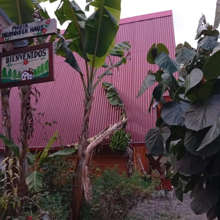 Cabañas en Oxapampa María Meininger Haus - Apartamento de 2 dormitorios - 10