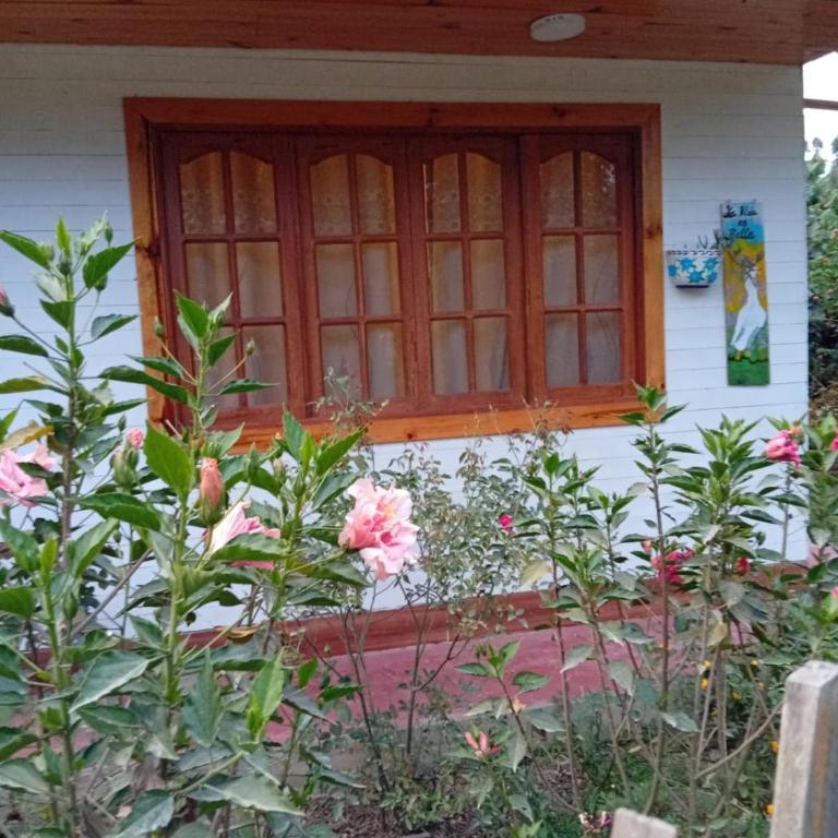 Cabañas en Oxapampa María Meininger Haus - Apartamento de 2 dormitorios - 48