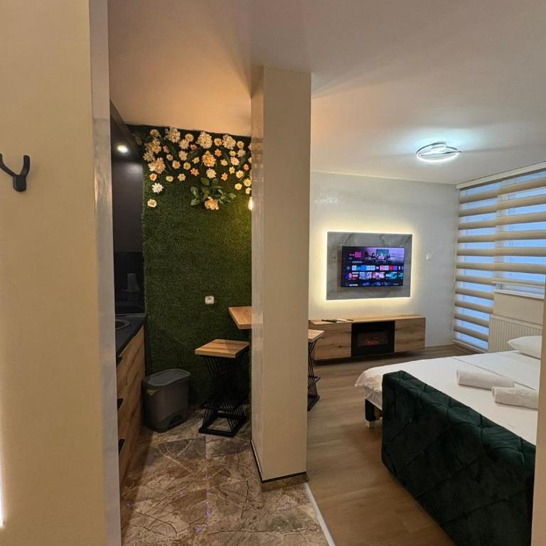 Centar Stan na dan sa parkingom - One-Bedroom Apartment - 2